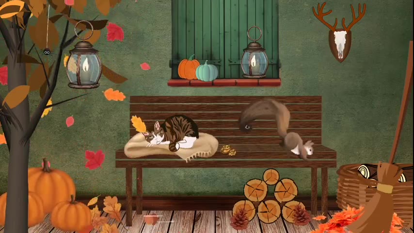 Kitten · 9 real-life clips (1:45)