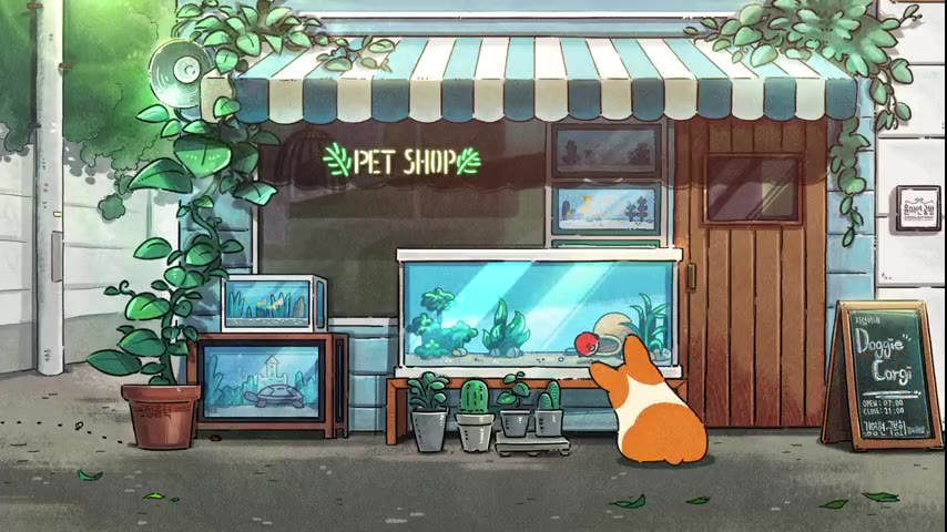 Corgi · 5 real-life clips (2:05)